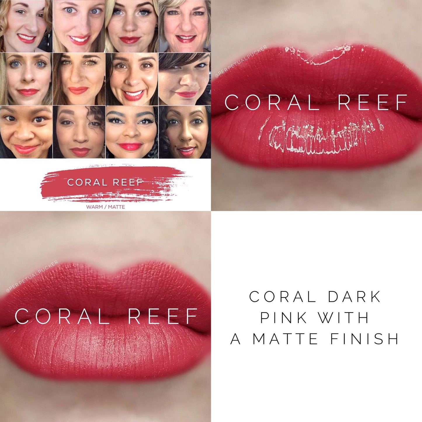 CORAL REEF - LipSense